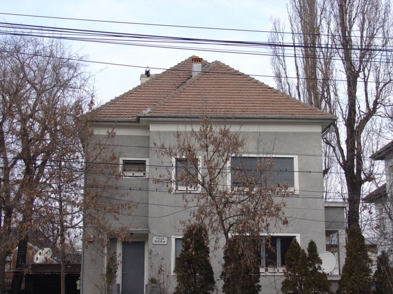 Constantinescu 55.JPG